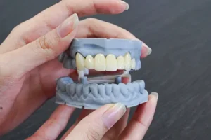 Harbour Dental Lab